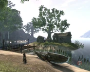 Driftwood 7