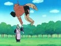 BoraHelpless