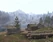 Mistpeak lumber harvest