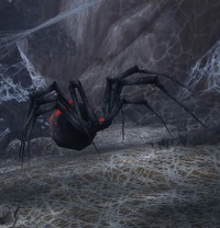 Image of Rygna