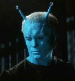 Shran2151