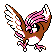 Pidgeotto plata