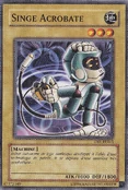 AcrobatMonkey-DR1-FR-C-UE