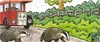 Badgers'Way2