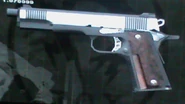 Colt 45 custom