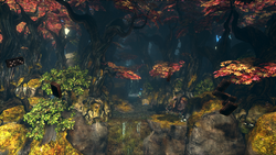 Vale of Tears