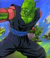 Piccolo007