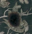 Marius Black.jpg