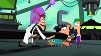 Doof pets Perry