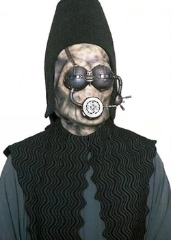 Teyhowhead.jpg