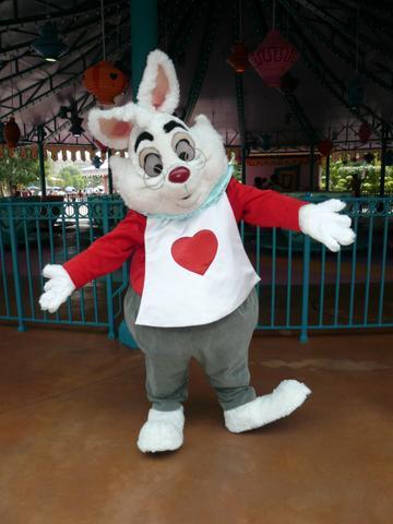 White_Rabbit_HKDL.jpg