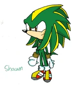 Shawn Colored