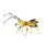 Item assassinbug 01