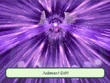 FF4HoL JudgmentBolt