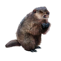Huge item chuck 01.png