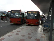BIAL Volvo buses