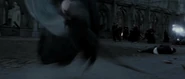 Voldyaparatnagini