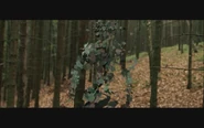 NarniaMaleDryadWoodGod