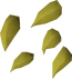 Argway seed detail