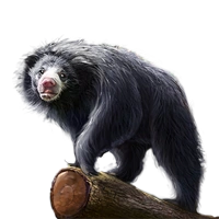 Huge item slothbear 01.png