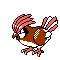 Pidgeotto cristal