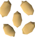 Palm tree seed detail