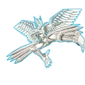 Clear HawktorBD