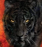 Kishan