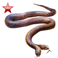 Huge item twoheadedsnake ruby 01.png