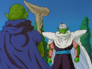 Kamiandpiccolo