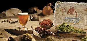 Beer-ingredients-631