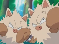EH14 Primeape