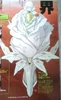 Little Prince capsule