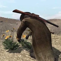 Rdr prairie poppies