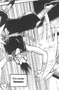 Hanemaru manga