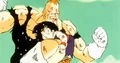 Recoome16
