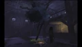 Pagan tree2.JPG