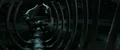 Basilisk skeleton.jpg