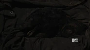 Vlcsnap-2011-07-01-21h30m54s2