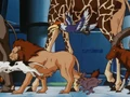 Animals1