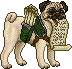 Light Pungeon Adult Male.gif