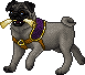 Dark Pungeon Adult Female.gif