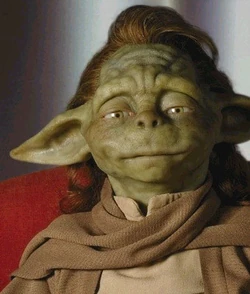Yaddle.jpg