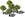 Image 20 (12)