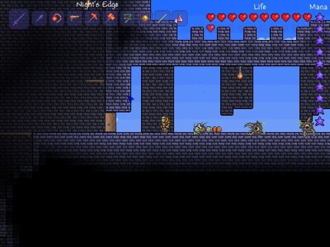 Terraria environment dungeon