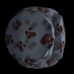 Cubic with Circle T0