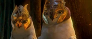 Owl02