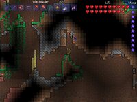 Terraria environment dirt layer