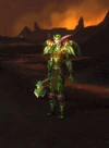 Hyjal Defender