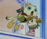 Cat Rinrin